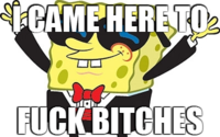 Came Here To Fuck Bitches