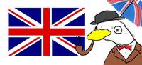 Dolan
