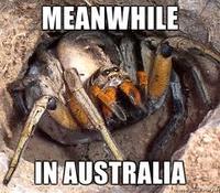 Meanwhile in X