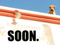SOON