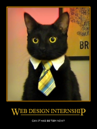 Business Cat
