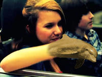 Your Argument is Invalid