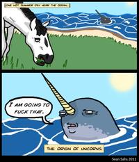 The Narwhal Bacons at Midnight