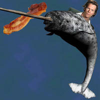 Narwhal-kevin-bacon