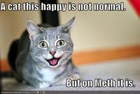 X isn't normal, but on Meth it is