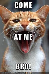 COME AT ME BRO