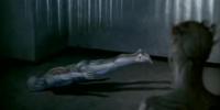 Planking