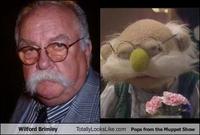 Diabeetus