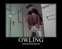 Owling