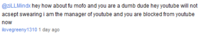 Youtube_Comment_120110725-22047-159re3v.PNG