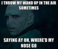 I Throw My Hands Up In The Air Sometimes Saying Ayo