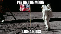 Like A Boss