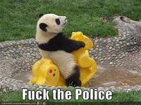Fuck the Police