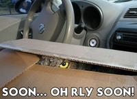 SOON