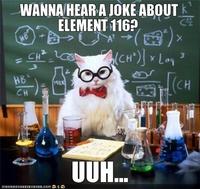 Chemistry Cat