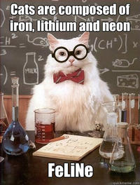 Chemistry Cat