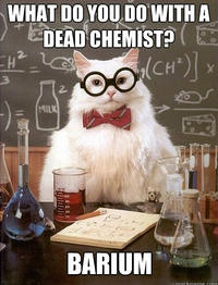 Chemistry Cat