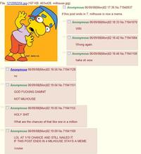 "Milhouse Is Not A Meme"