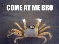 COME AT ME BRO