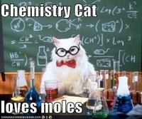 Chemistry Cat