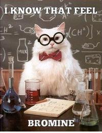 Chemistry Cat