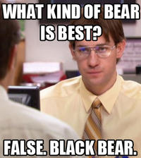 Schrute Facts