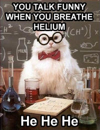 Chemistry Cat