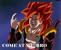 COME AT ME BRO