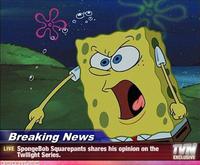 SpongeBob SquarePants