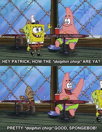SpongeBob SquarePants