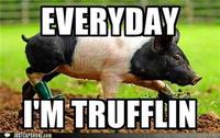 Everyday I'm Shufflin'