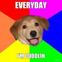 Everyday I'm Shufflin'