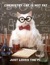 Chemistry Cat