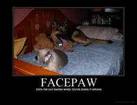 Facepaw