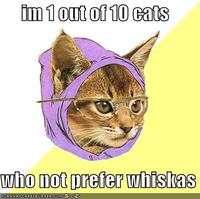 Hipster Kitty