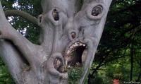 Things With Faces