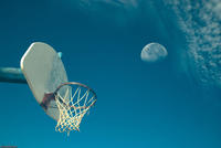 Forced Perspective