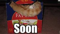 SOON