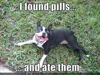 I Found Pills... And Ate Them!
