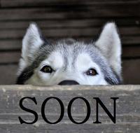 SOON