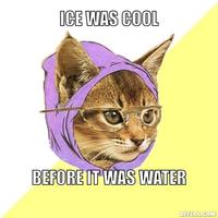 Hipster Kitty