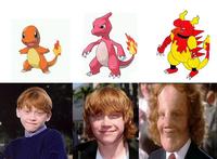 Celebrity Pokemon Evolutions