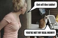 LOLcats