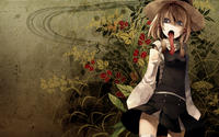 Touhou Project (東方Project)