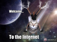Welcome to The Internet