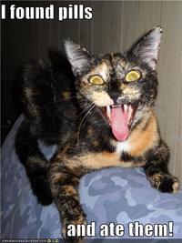 I Found Pills... And Ate Them!