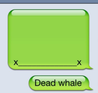 iPhone Whale