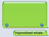 iPhone Whale