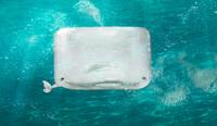 iPhone Whale