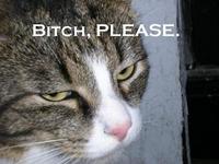 LOLcats
